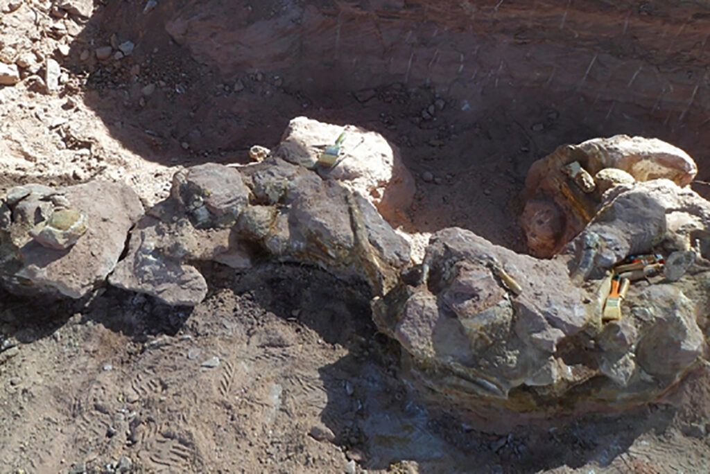 Descubren a Yeneen Houssayi, una nueva especie de dinosaurio que vivió hace 83 millones de años