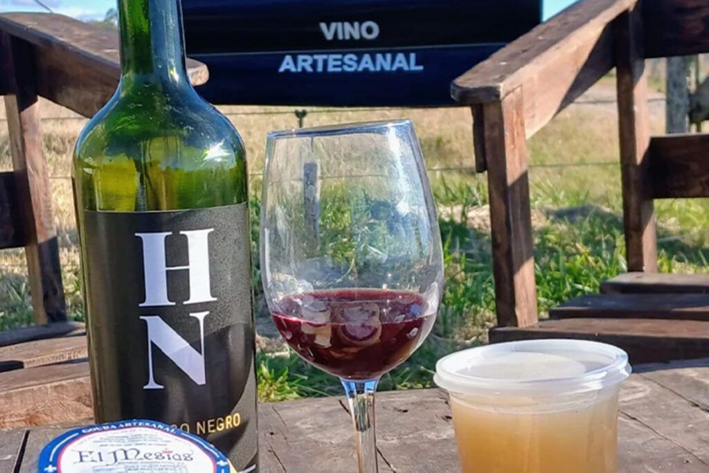 Experiencia para los sentidos: viaje de culto al mundo de los viñedos bonaerenses