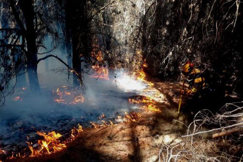 Incendios en el Sur: el fuego avanza ahora sobre Cholila y está fuera de control