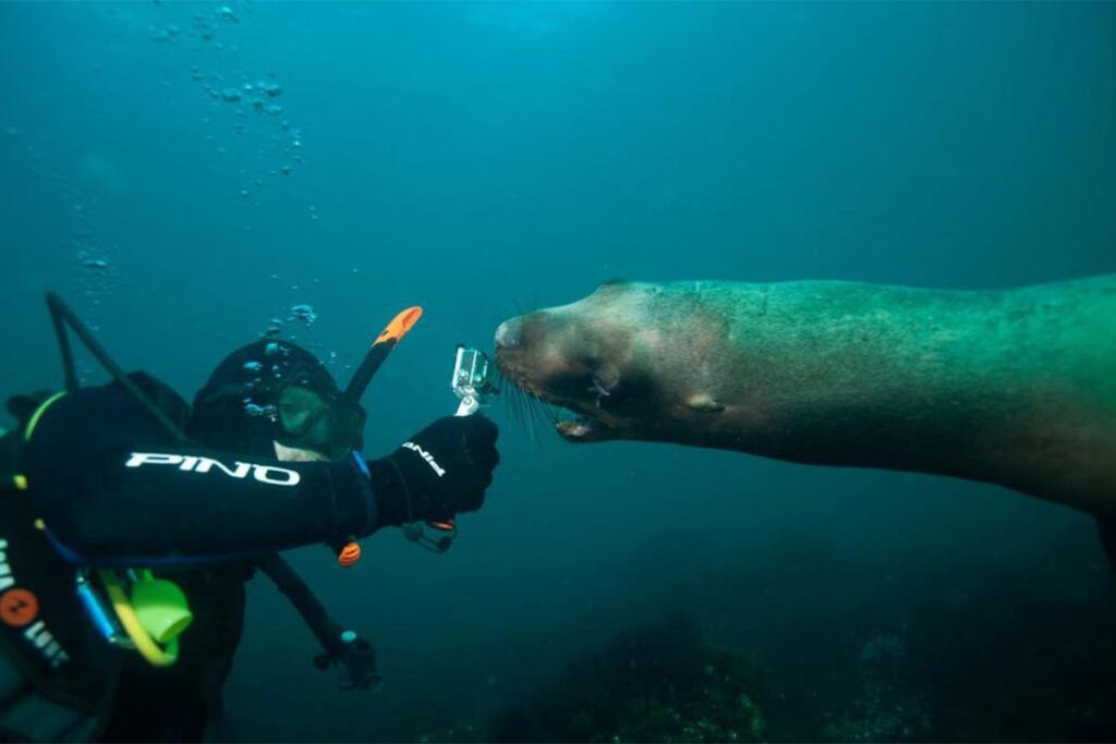 Una visita por el misterioso mundo del mar