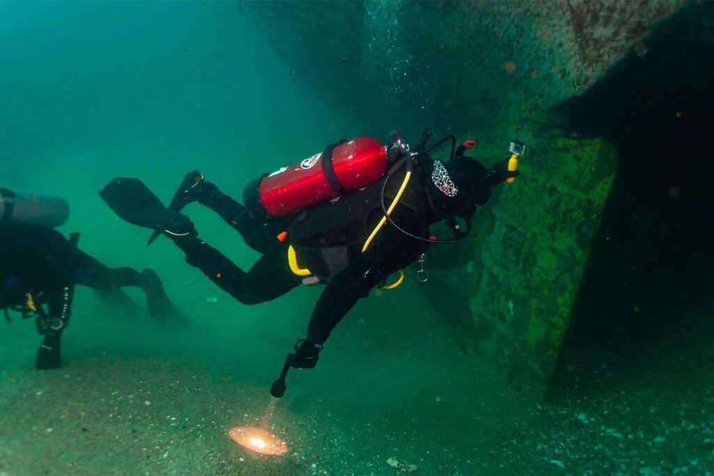 Una visita por el misterioso mundo del mar