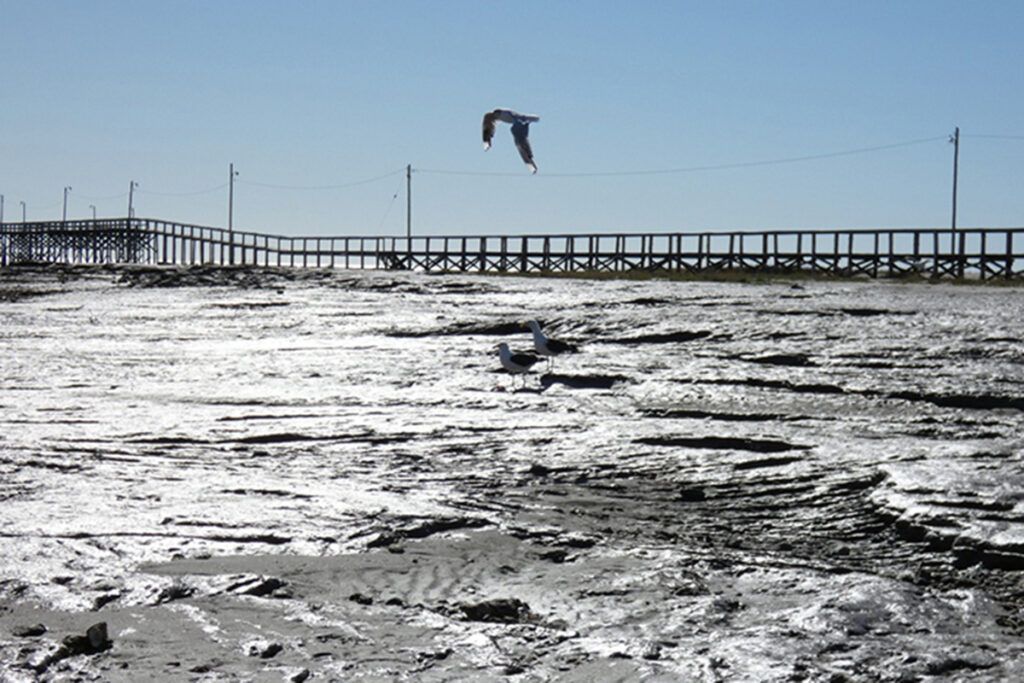 Nueve opciones para disfrutar cerca del mar 7 Nueve opciones para disfrutar cerca del mar