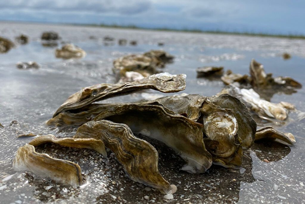 Las olas, el viento y muchos planes para disfrutar