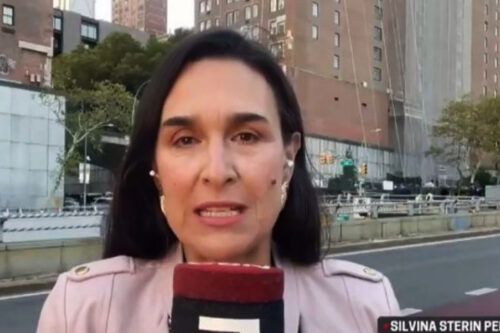 Silvina Sterin Pensel