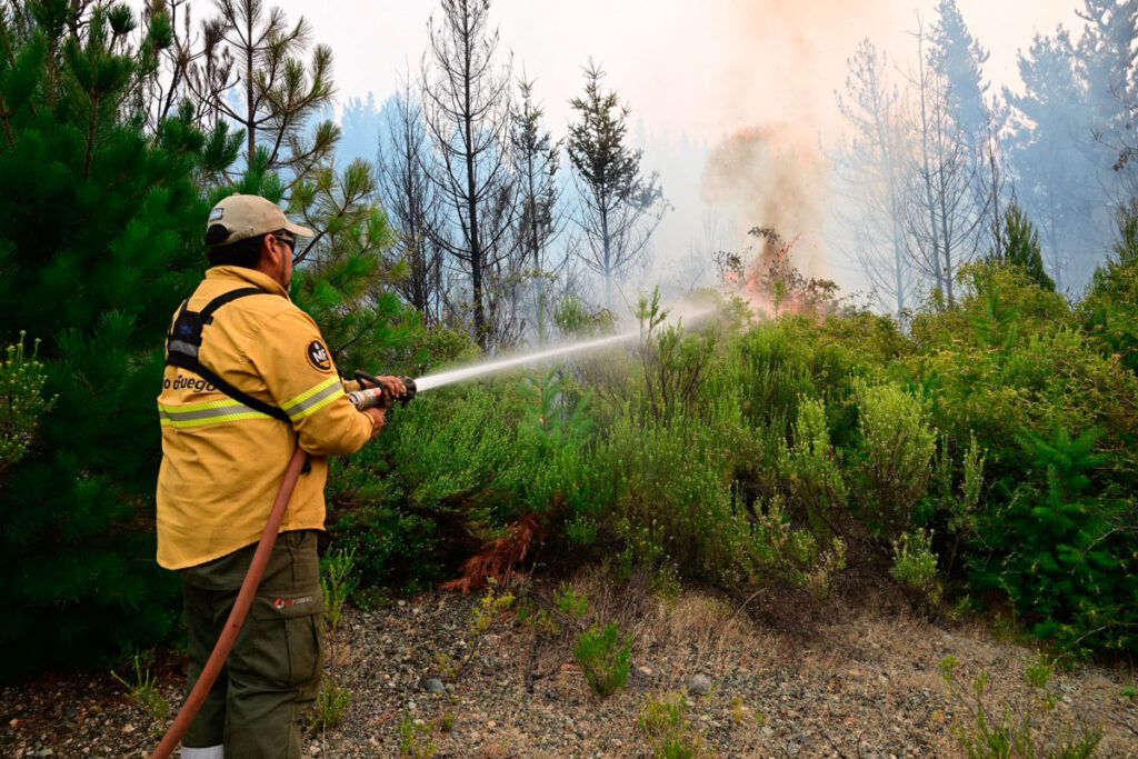 Incendios en el Sur: el fuego avanza ahora sobre Cholila y está fuera de control 2 Incendios en el Sur: el fuego avanza ahora sobre Cholila y está fuera de control