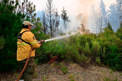 Incendios en el sur: una tensa calma en Cholila