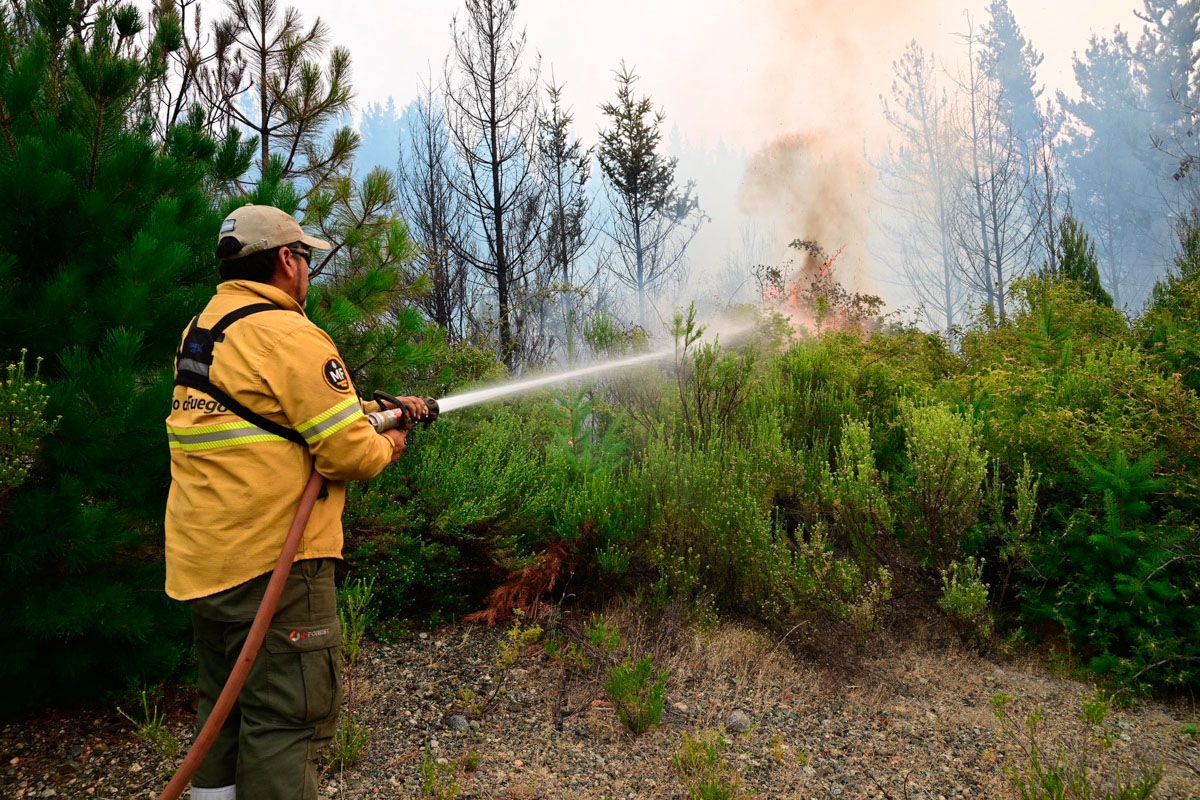 Incendios en el sur: una tensa calma en Cholila