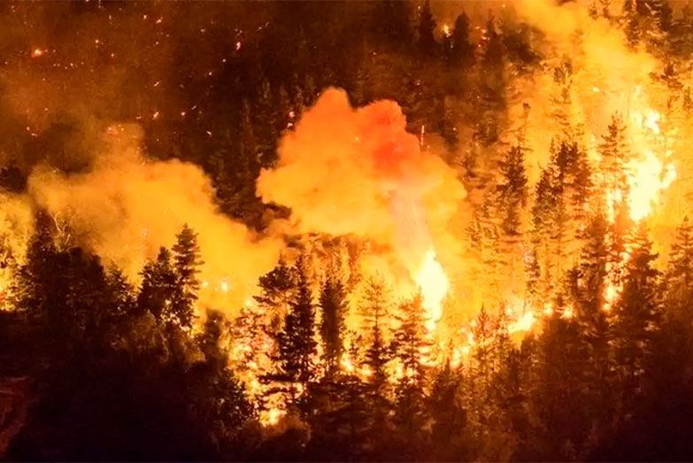 El gobierno cedió y declaró por decreto la Emergencia Ígnea en Chubut, Río Negro, Neuquén y La Pampa
