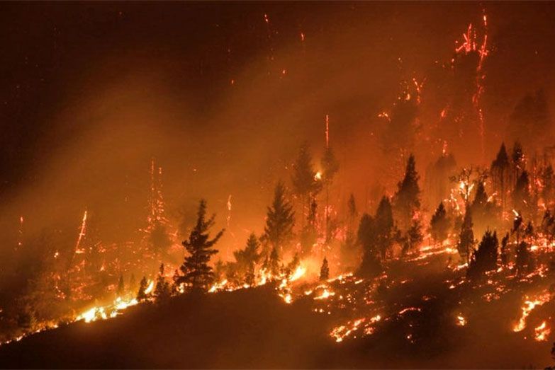 El monstruo de fuego arrasa por dos frentes en la región cordillerana de Chubut