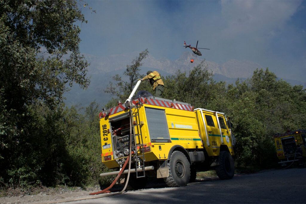 El Estado llega a la Patagonia tras 50 días de ausencia y fuego en una tragedia ambiental que ahora desplaza su atención en Esquel
