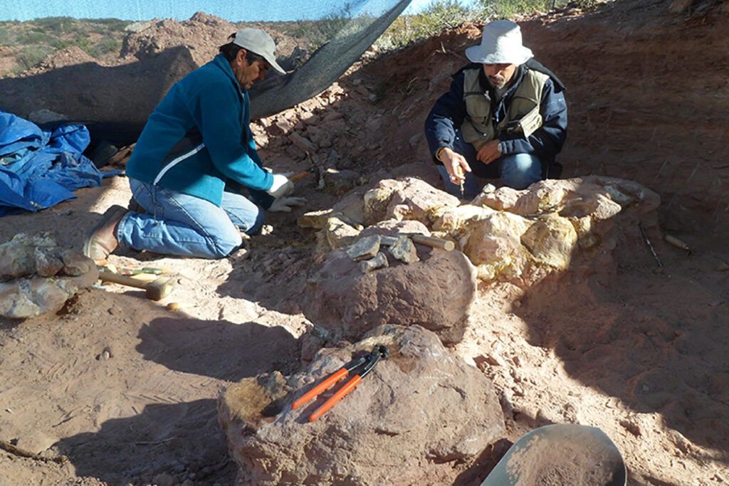 Descubren a Yeneen Houssayi, una nueva especie de dinosaurio que vivió hace 83 millones de años
