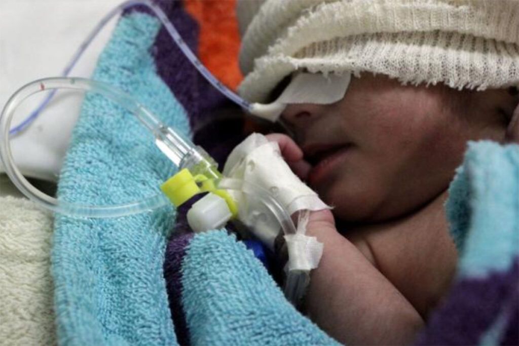 ¿Hijos o perros? La pregunta incómoda que define a la Argentina de 2026 y los nuevos lazos del indivualismo feroz