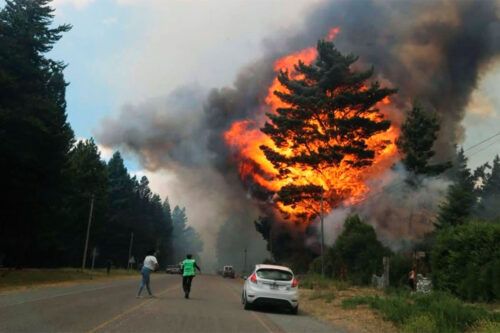 Proponen incorporar la figura del “ecocidio” al Código Penal argentino