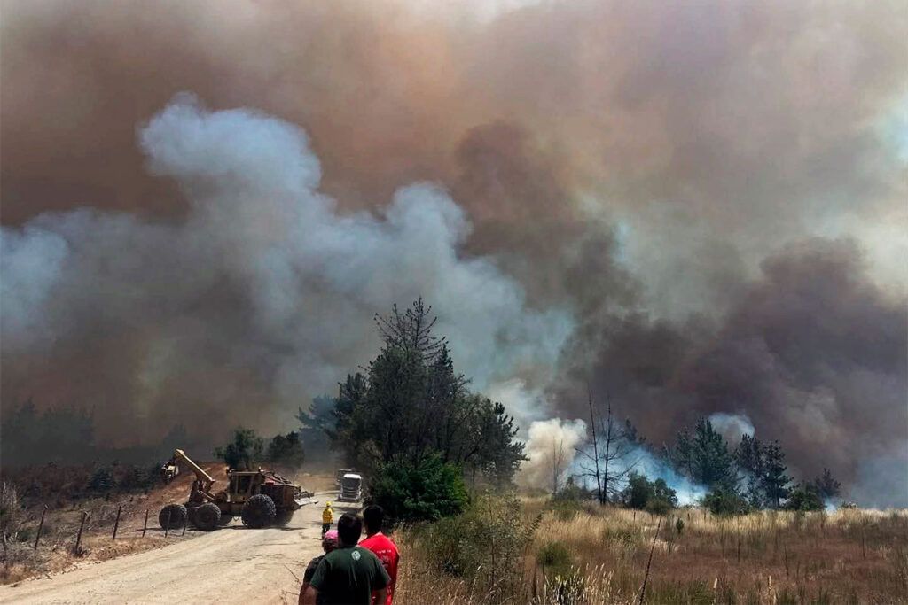 Chubut: Torres recibió y congeló $ 540 millones de fondos de la Ley de Bosques