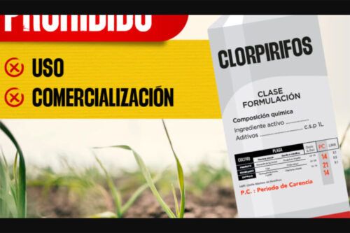 Cómo un plaguicida puede afectar el tratamiento del cáncer de mama