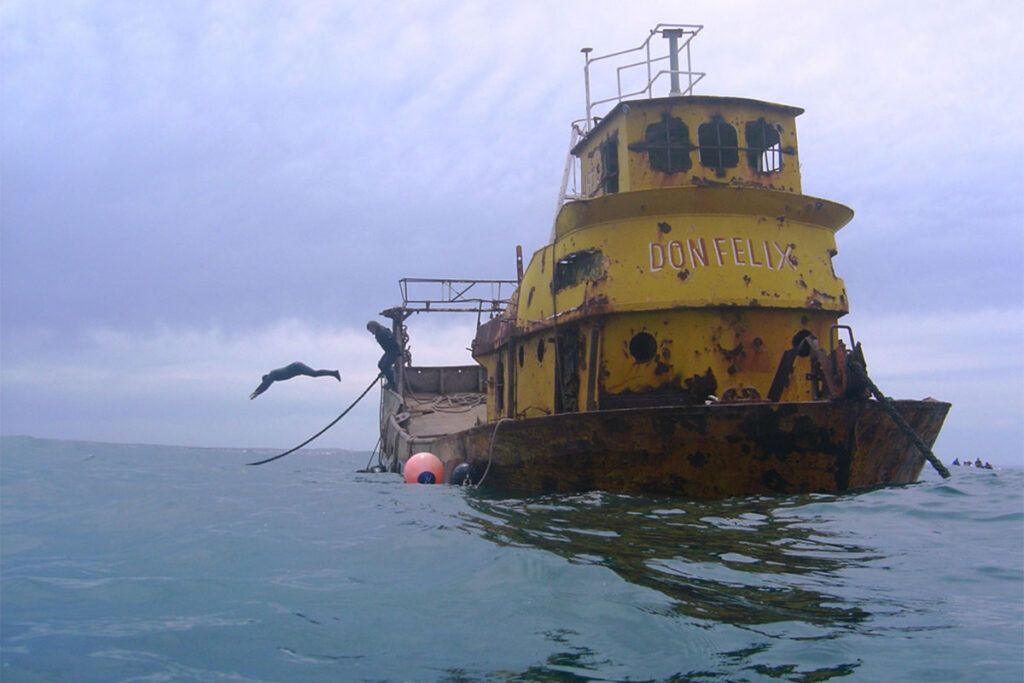 Una visita por el misterioso mundo del mar
