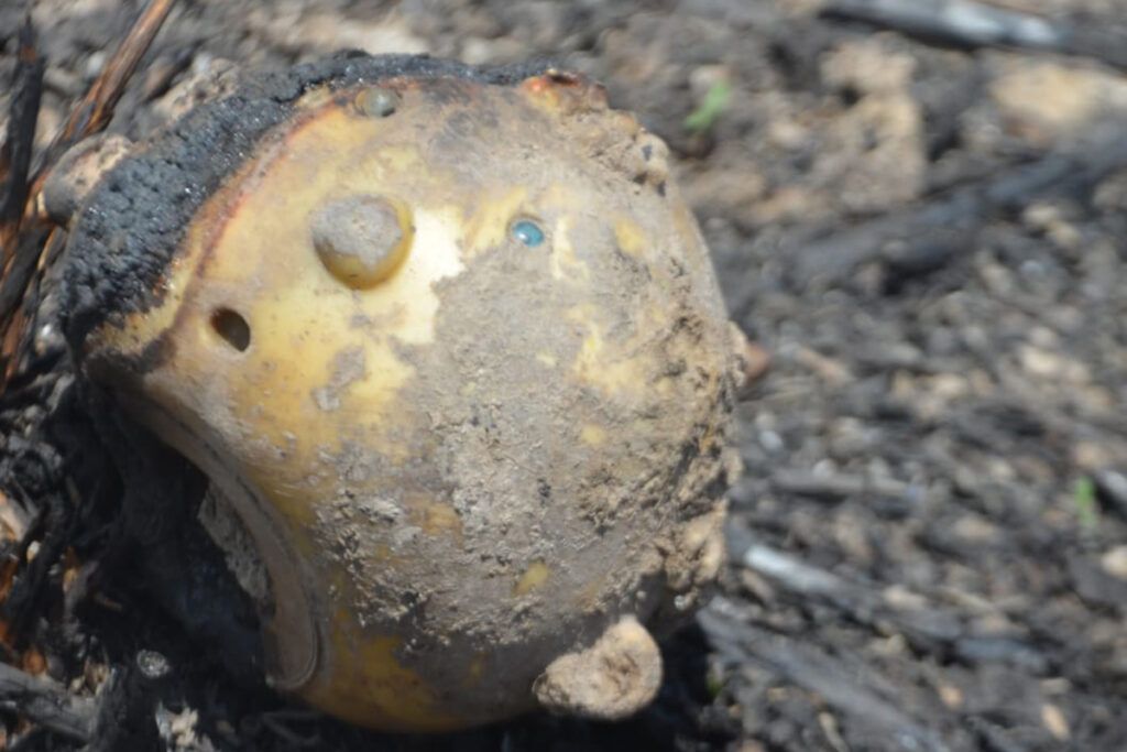 Donde hubo fuego: la huella tóxica que dejan los incendios 3 Donde hubo fuego: la huella tóxica que dejan los incendios