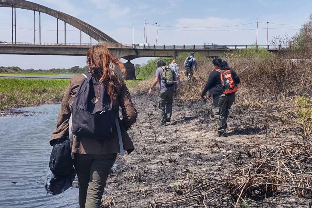 Donde hubo fuego: la huella tóxica que dejan los incendios 1 Donde hubo fuego: la huella tóxica que dejan los incendios