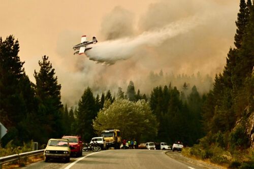 Piden declarar en emergencia la zona patagónica afectada por incendios forestales