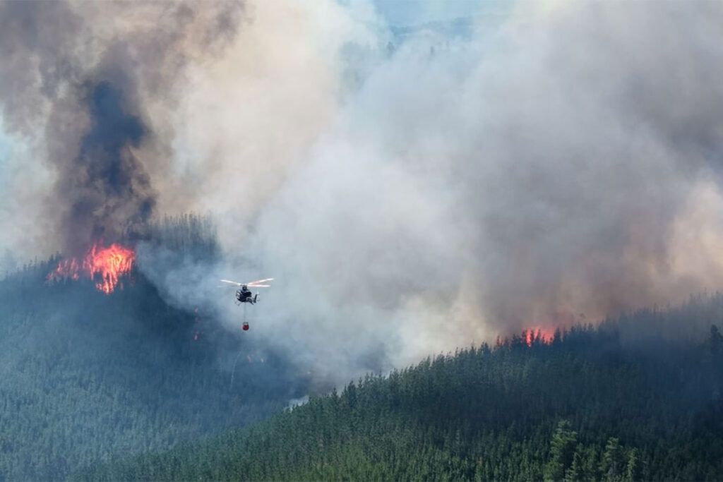 El sur en llamas: frente a la desidia oficial emerge al rescate la sociedad civil