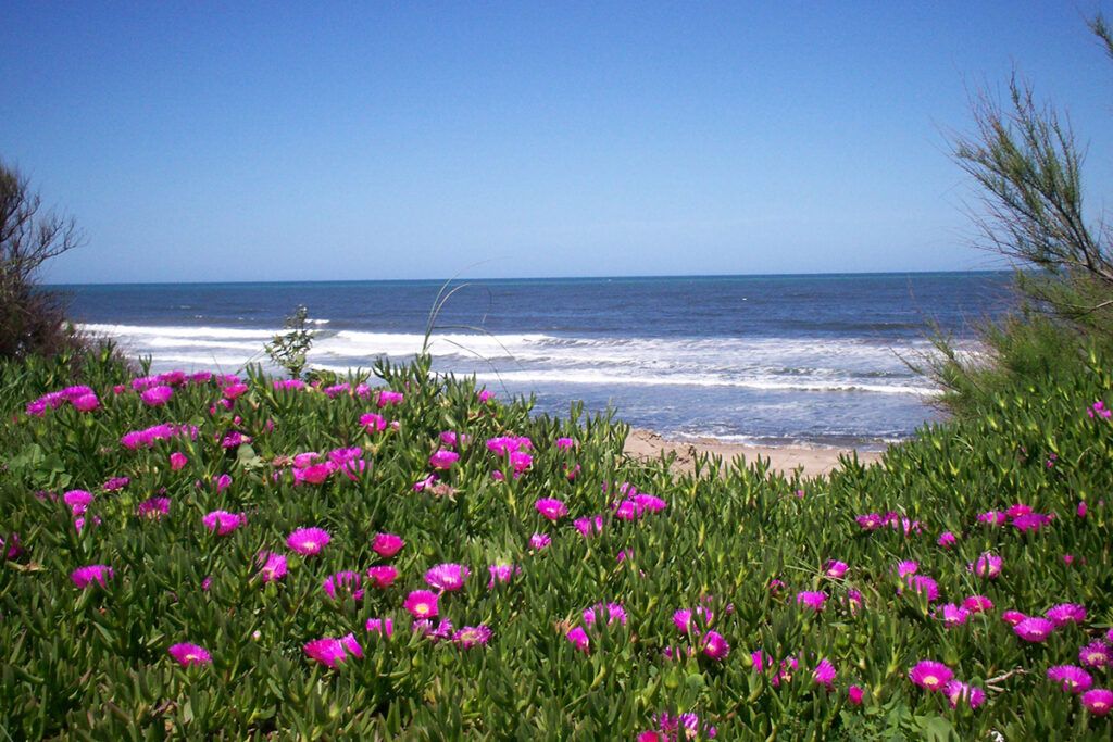 Las olas, el viento y muchos planes para disfrutar