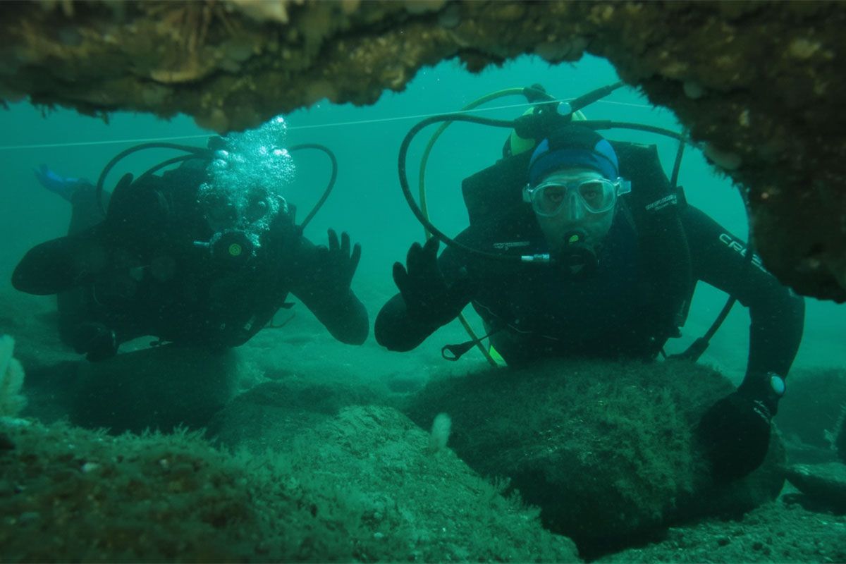 Una visita por el misterioso mundo del mar