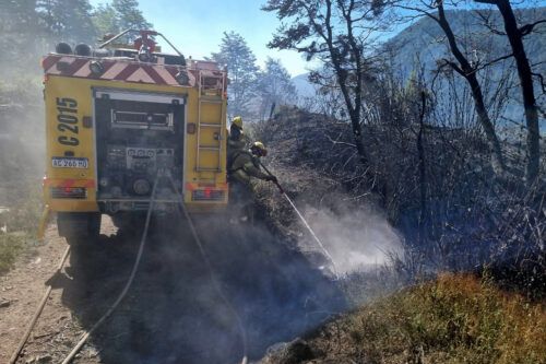 Incendios forestales: piden que se declare la Emergencia Ígnea y Ambiental en la Patagonia