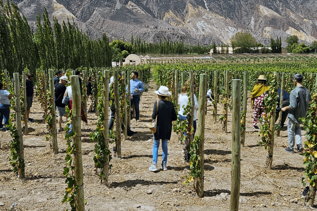 Travesía en tren por la Quebrada de Humahuaca: un viaje a otra dimensión