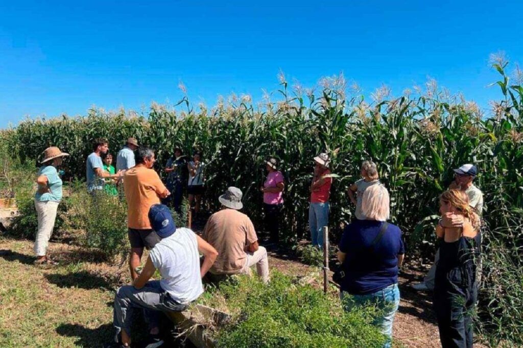 “Mapa de la Agricultura Libre de Agroquímicos”: la geografía menos conocida y más fértil del sur cordobés