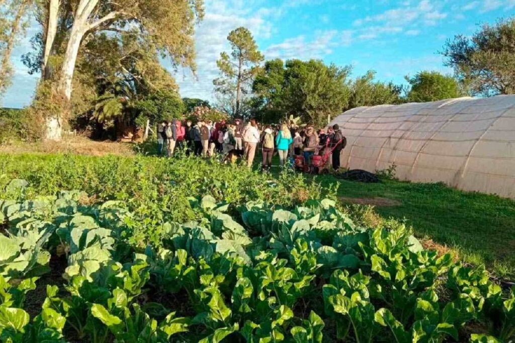 “Mapa de la Agricultura Libre de Agroquímicos”: la geografía menos conocida y más fértil del sur cordobés