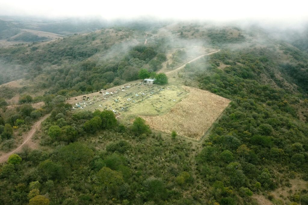 Lucrecia Martel: "La Argentina padece de la mala educación de su clase media y alta" 3 Lucrecia Martel: "La Argentina padece de la mala educación de su clase media y alta"