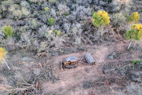 Denuncian que aumentó un 40% la desforestación en el norte del país