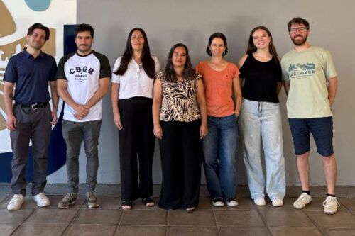 Lanzan “NoVa+”, un asistente virtual que ayuda a prevenir la ludopatía y las apuestas online