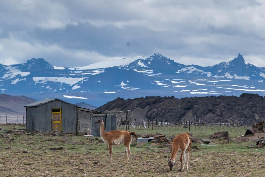 Para romper el hielo: qué implica la reforma de la Ley de Glaciares y por qué afirman que es inconstitucional