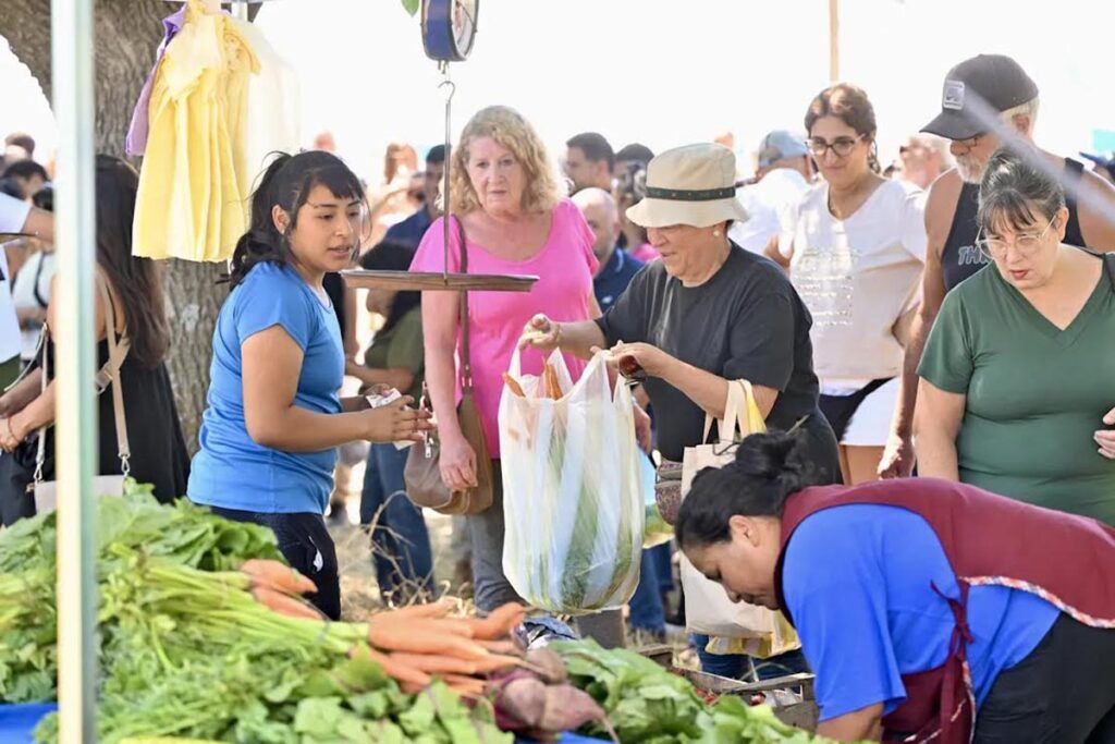 La importancia de las ferias y fiestas regionales para productores y consumidores