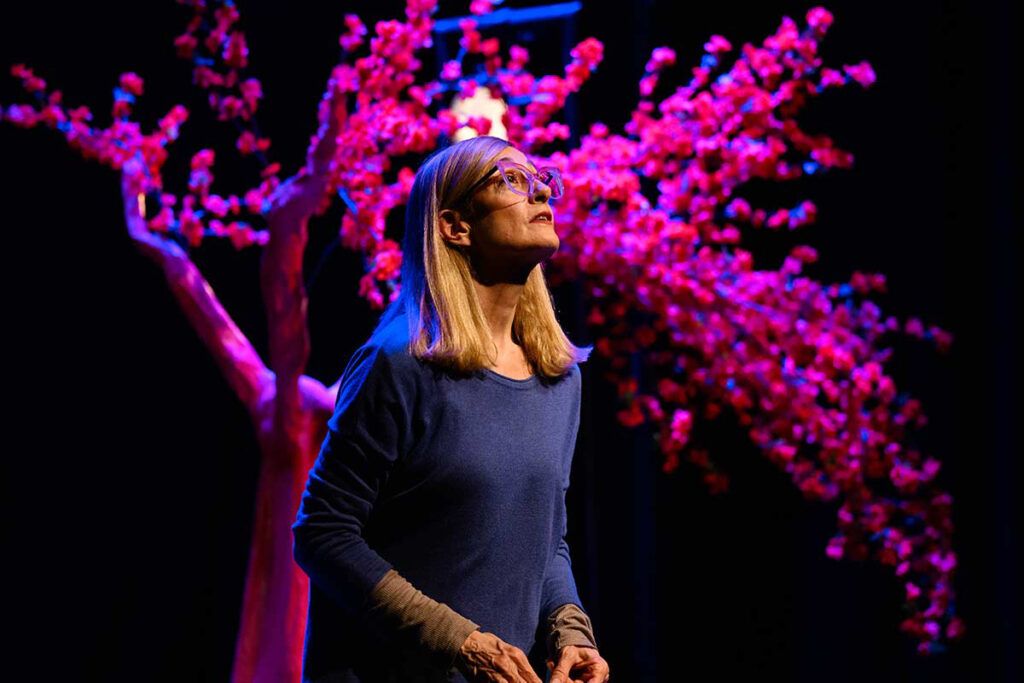 Agenda de espectáculos con lo mejor de la semana: Fuerza Bruta, Ricardo Darín, Rubén Rada, Agarrate Catalina y más