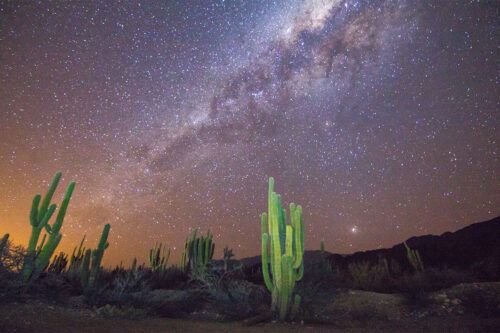 Llegar al cielo con el astroturismo: un viaje donde la belleza luce bajo las estrellas