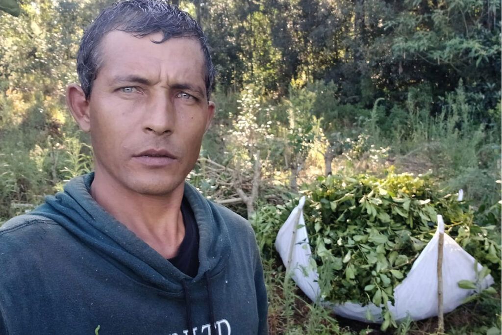 Éxodo laboral de Misiones a Brasil: “Esto es el ADN de La Libertad Avanza”