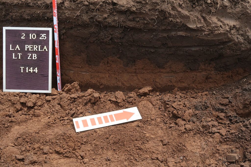 “Alegre, deportista y lleno de amigos”, quién era Alejandro Monjeau, el marplatense identificado en La Perla