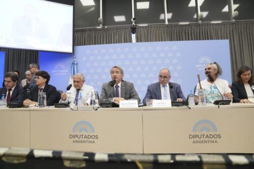 Denuncian a la senadora Royon en la audiencia por la Ley de Glaciares: “No representa a Salta, representa a las mineras”