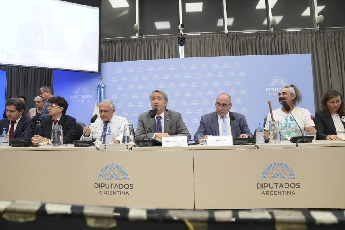 Denuncian a la senadora Royon en la audiencia por la Ley de Glaciares: “No representa a Salta, representa a las mineras”