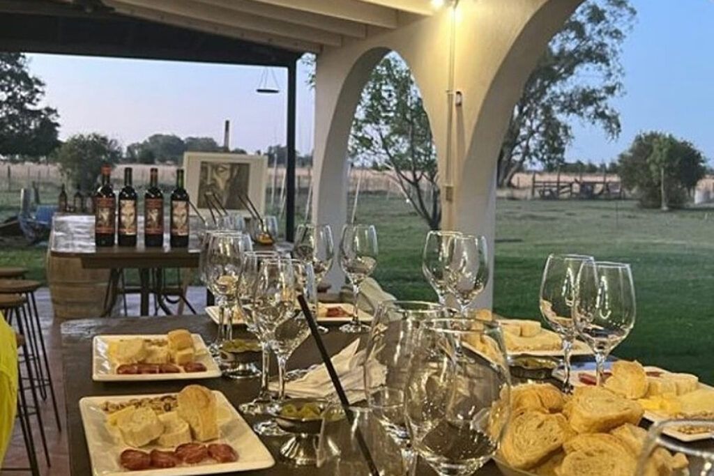 Vinos con sabor bonaerense, una guía para brindar por la vendimia