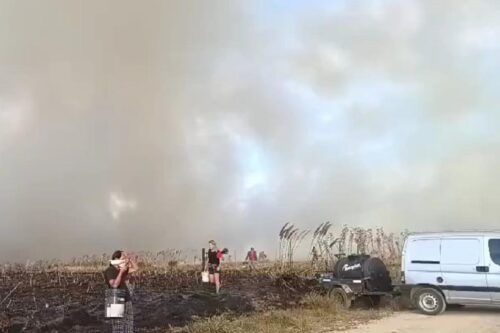 Incendio forestal en Mar del Plata: más de 200 hectáreas arrasadas