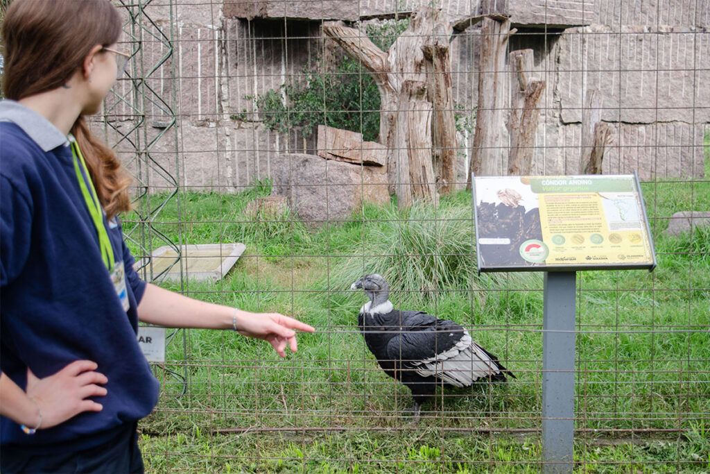 El detrás de escena de quienes trabajan en el conservacionismo animal