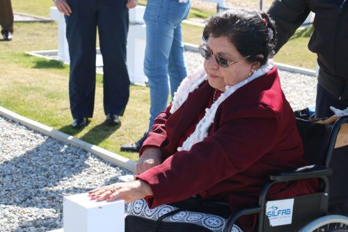 “Los sueños de Elma”, un viaje de amor, dolor y memoria hacia las Malvinas