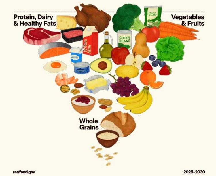 piramide nutricional carne