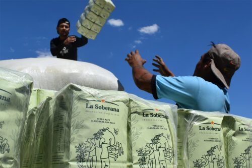La Soberana: una nueva yerba mate agroecológica desembarca en el mercado