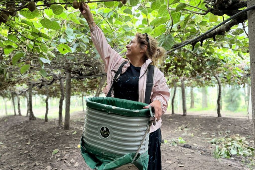 El Camino de la Vitamina C, una ruta para enamorarse del kiwi