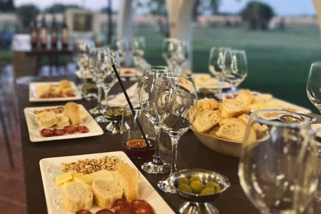 Vinos con sabor bonaerense, una guía para brindar por la vendimia