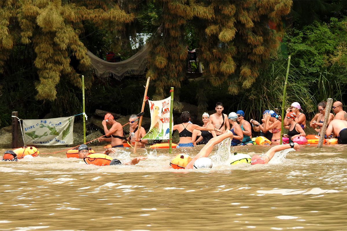 La primera gran nadada colectiva del Delta: 200 brazos contra 44 pies